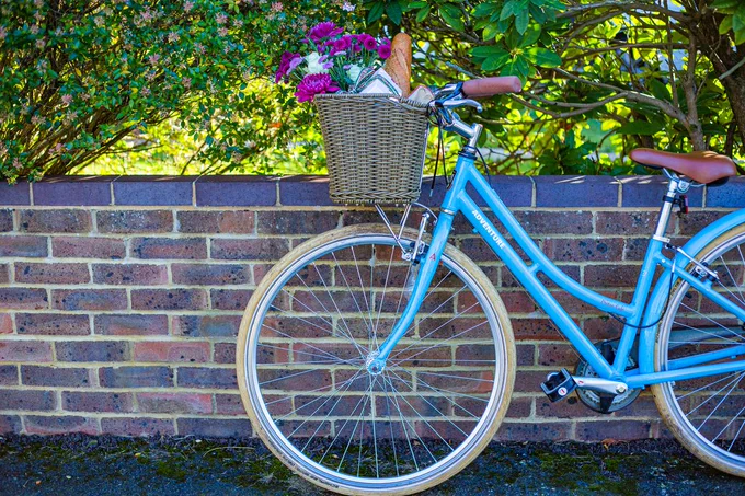 Bike basket with shopping