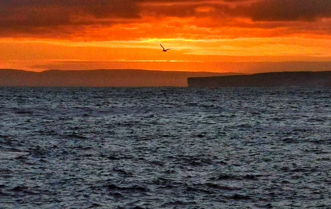 One of bursary student Seán Haugton's wonderful images from the Irish Groundfish Survey last November.