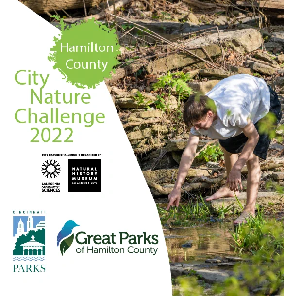 Hamilton County City Nature Challenge 2022. Hosted by Cincinnati Parks and Great Parks of Hamilton County.