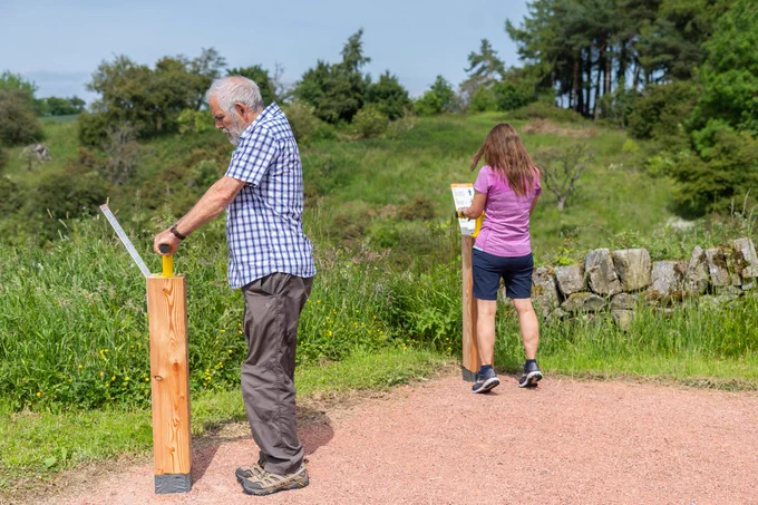 A man and a woman undertaking strength and balance exercises on a sunny day outside using wooden post with yellow handle on top for balance. 