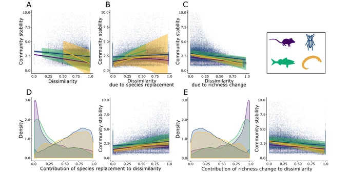 Relationships between community stability & change in taxonomic composition as given by temporal dissimilarity (a), dissimilarity due to species replacement (b), dissimilarity due to species richness (c), relative contributions of species replacement to dissimilarity (d), & relative contributions of richness change to dissimilarity (e) for 4 taxa: small mammals, ground beetles, fish, & freshwater macroinvertebrates