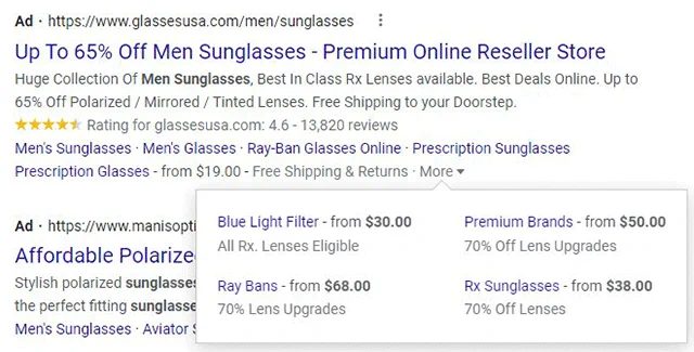 Google Ads Listing With More Expandable Link