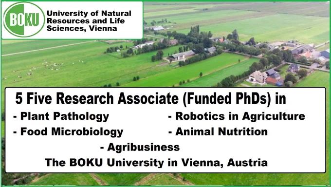 📌 5 Five Research Associate (Funded PhDs) in Plant Pathology, Robotics in Agriculture, Food Microbiology, Animal Nutrition, Agribusiness🌱🦠🐄🚜 in Vienna, Austria🇦🇹... Please share and spread the word! For details visit the link below👉 https://wp.me/pbv48T-2xr