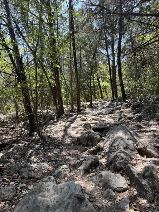 Rocky hiking trail through trees