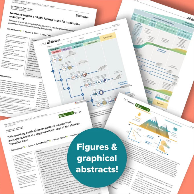 Image showing a number of paper figures and graphical abstracts