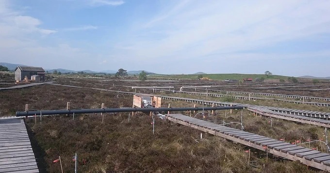 Boardwalks over the bogland at Whim