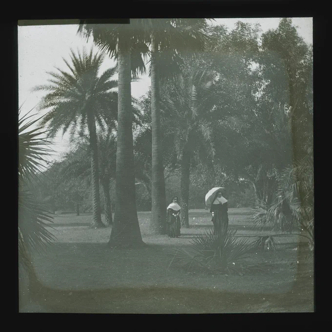 Very old photograph showing two nuns standing in front of palm trees, one holding a parasol 