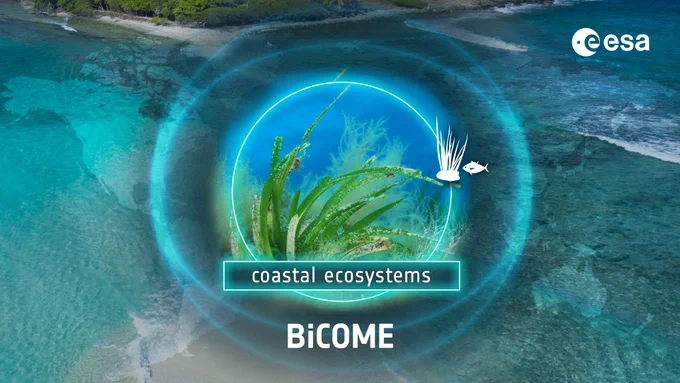 Image montage showing a centre image of seagrass with the words 'Coastal ecosystems' and 'BiCOME' underneath. With a small icon of some seagrass and a fish and a world map and beach overlay