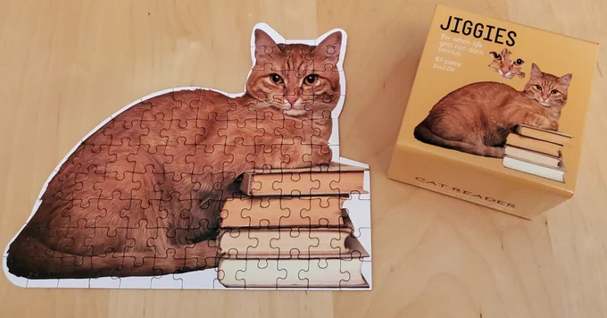 A picture of a completed puzzle of an orange tabby cat leaning on a pile of books.