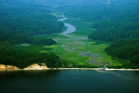 Image: The Parkers Creek Watershed in Calvert County, Maryland - 1,000 acres of coastal land protected by the American Chestnut Land Trust