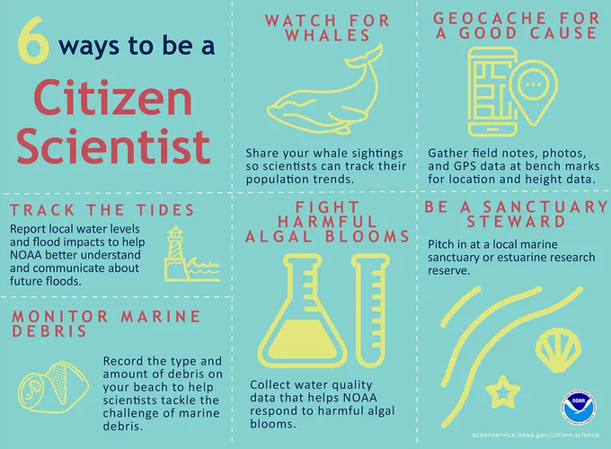Graphic showing 6 ways to be a citizen scientist