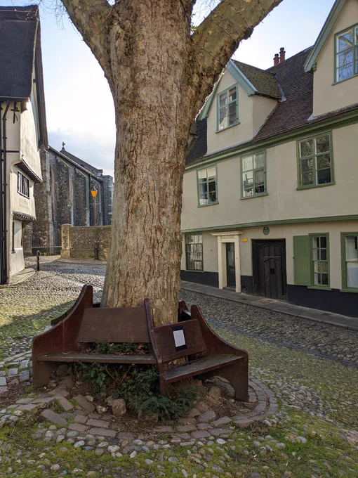 A large tree on a cobbled Tudor street. A bench has been built around the tree, and a book page has been taped to one of the seats.