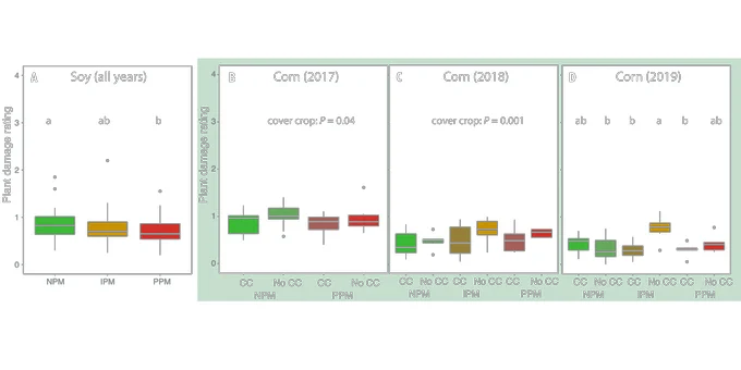 Average plant damage rating in response to pest management treatment in soy across all years (A) or analyzed as ordinal categorical data, but represented here as average damage from each plot. Boxplots with pest management treatment and cover crop in corn in 2017 (B), 2018 (C), and 2019 (D)