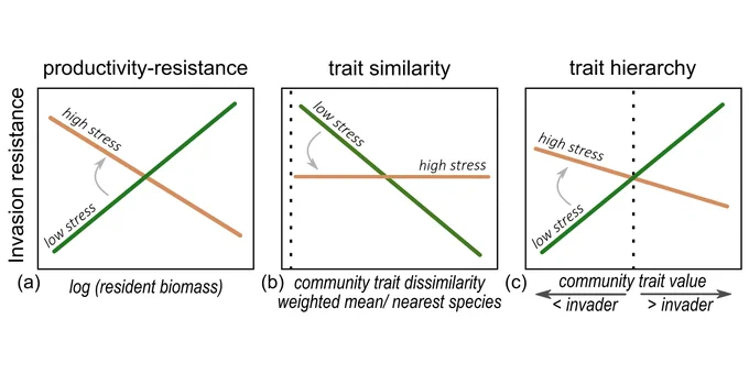 Three community assembly hypotheses and potential interactions with environmental stress