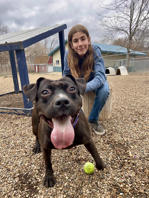 A black dog in the foreground with her tongue out and a ball at her feet (Tera). Gideon is sitting on a stump behind her. They are in a fenced-in dog play area.