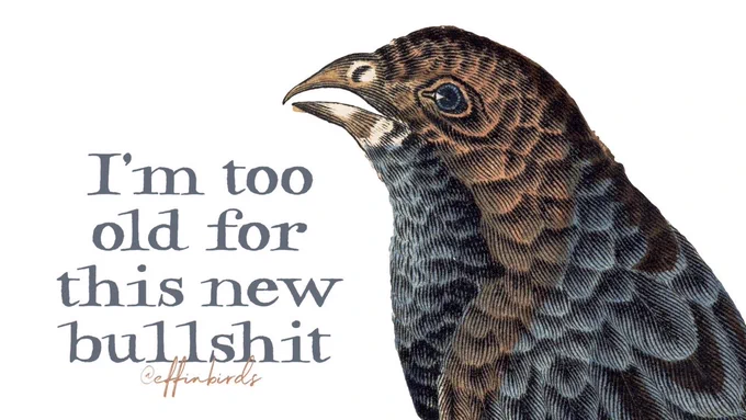 A painting of a bird beside the text “I’m too old for this new bullshit”