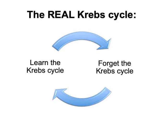 Image reads: The REAL Krebs cycle. Below is a diagram with arrows cycling from two short bits of text. One says “learn the Krebs cycle” the other “forget the Krebs cycle”