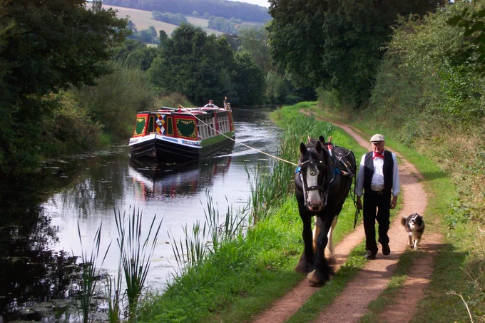 The Horse-Drawn Barge with Tiverton Canal Company at The Grand Western Canal Country Park