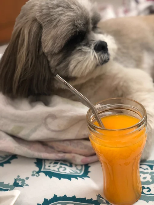 Sugar with steel straw from kitlery