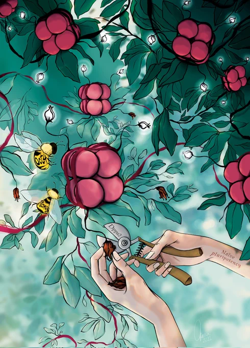 Illustration of a gardener's hand pruning a bush