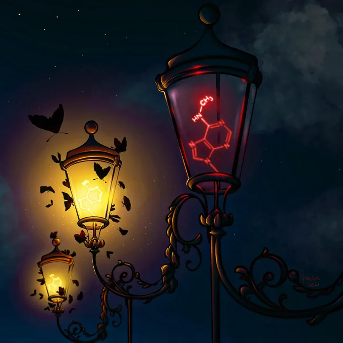 Drawing of street lights with moths attracted by light