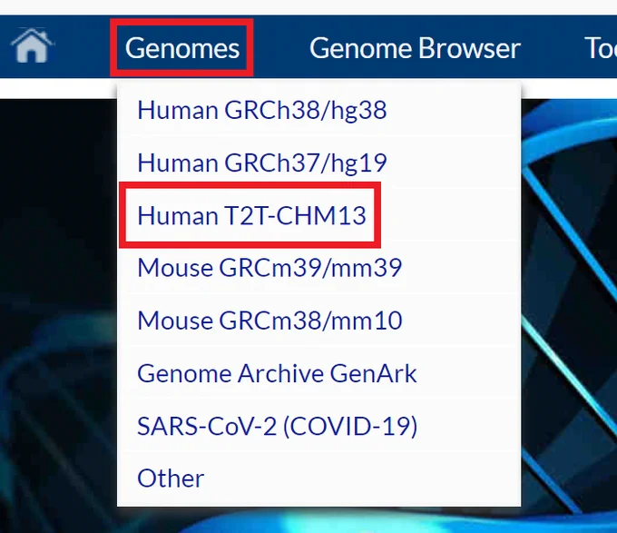T2T-CHM13 now available in the Genome Browser.