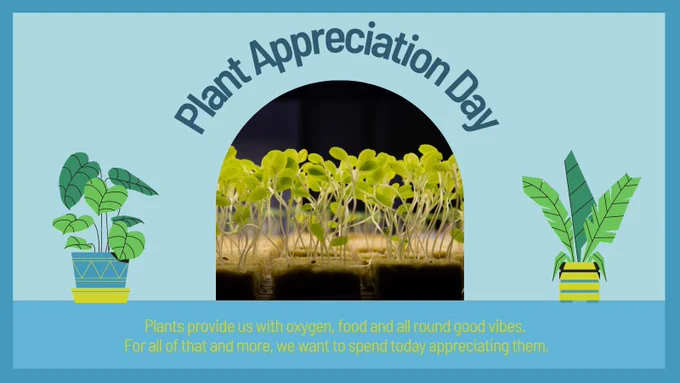 Plant Appreciation Day: Plants provide us with oxygen, food and all round good vibes. For all of hat and more, we want to spend today appreciating them