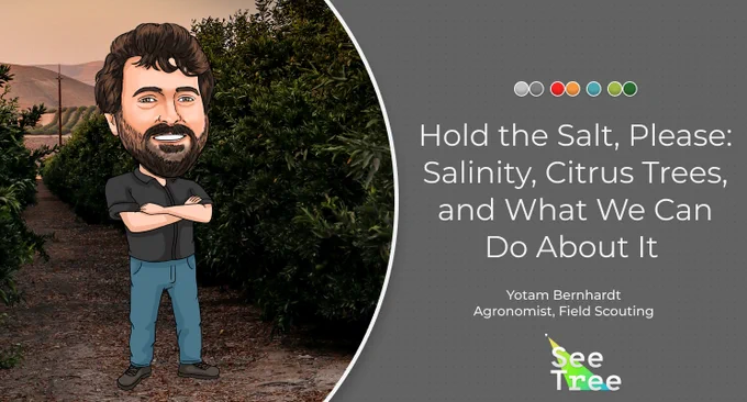 Hold the Salt, Please: Salinity, Citrus Trees, and What We Can Do About It