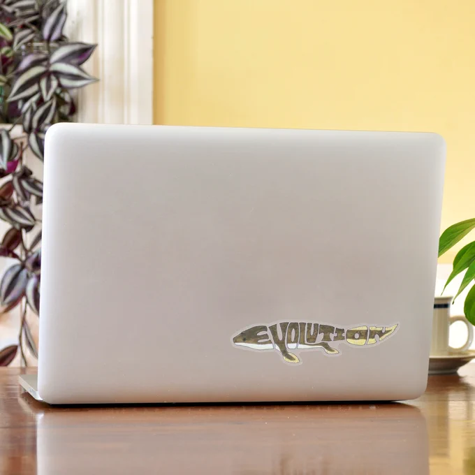 Photograph of a laptop computer with a Tiktaalik Spells Evolution sticker
