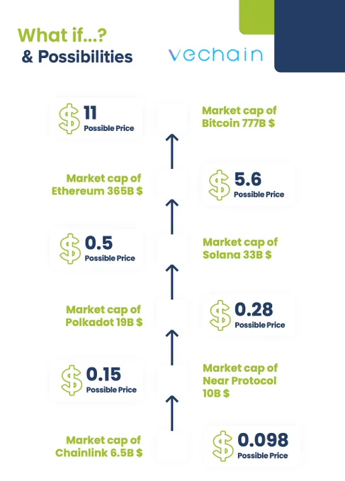 Vechain what if