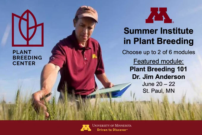 Dr. Jim Anderson inspecting wheat spikes in a field
Plant Breeding Center
Summer Institute in Plant Breeding
Choose up to 2 of 6 modules
Featured module: 
Plant Breeding 101
Dr. Jim Anderson
June 20 – 22
St. Paul, MN
University of Minnesota
Driven to Discover

