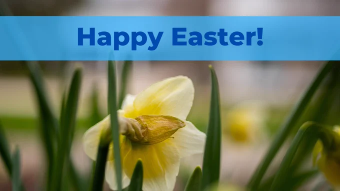 A graphic that says "Happy Easter!" with a daffodil in the background. 
