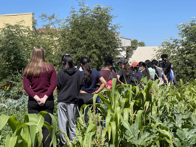 Volunteer with Dig Deep Farms!