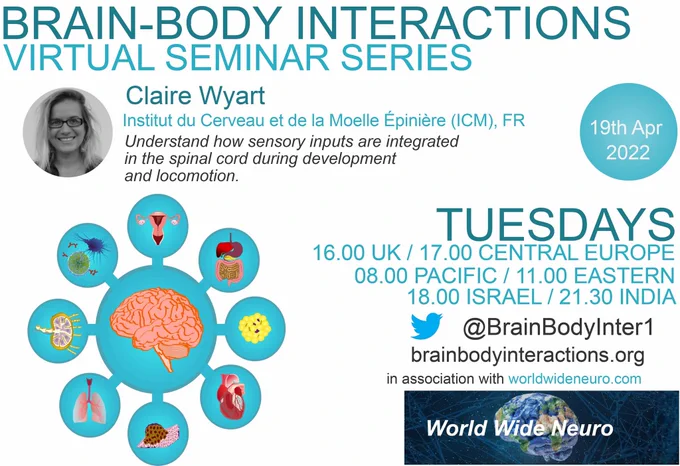 Body brain interaction seminar poster, Tuesday 19 April 2022, 16UK time
