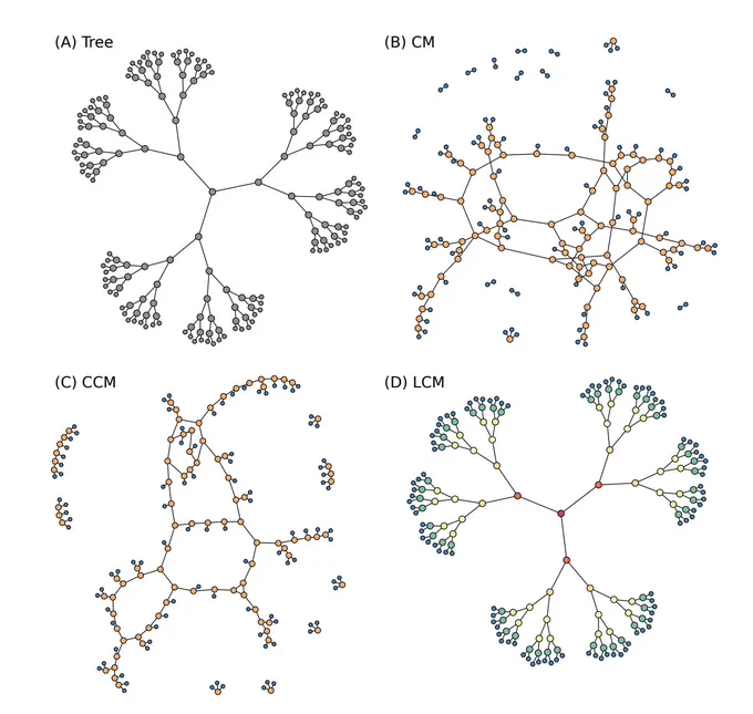 A perfect tree, then randomized with the configuration model, the correlated configuration model, and the layered configuration model.