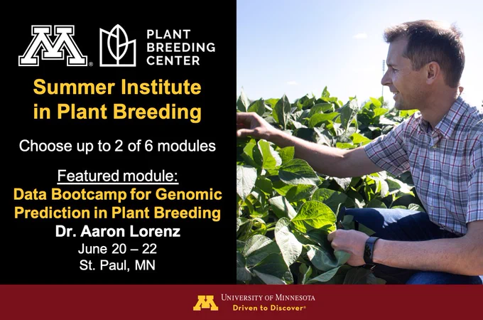 Dr. Aaron Lorenz squatting and inspecting soybeans in a field.
Plant Breeding Center.
Summer Institute in Plant Breeding.
Choose up to 2 of 6 modules.
Featured module: 
Data Bootcamp for Genomic Prediction in Plant Breeding.
Dr. Aaron Lorenz.
June 20 – 22.
St. Paul, MN.
