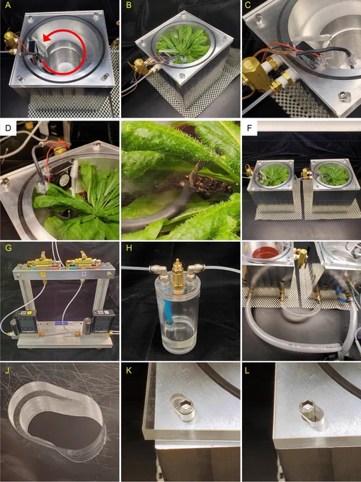 An Arabidopsis dynamic flow cuvette for gas exchange measurements and 13CO2 labeling assays. 