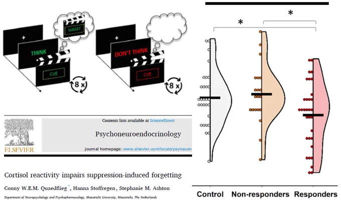 Participants repeatedly retrieve or suppress memories of previously learned cue-target video clips to mimic the complexity of episodic memories. 

Results on the subsequent memory test revealed that, while the no-stress controls and cortisol non-responders demonstrated suppression-induced forgetting, this effect was absent in cortisol responders.
