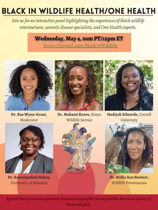 A flyer showing photos of panelists and moderator for the Black in Wildlife Health/One Health panel. Everyone is smiling. The background of the flyer is yellow and red, and most of the text is black.