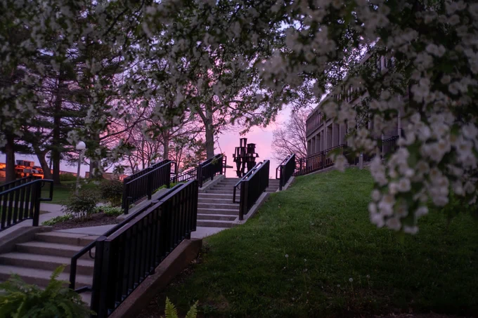 Scenic view of the stairs leading up to Taylor Hall. Trees blooming with white flowers are seen against a light purple sunset.
