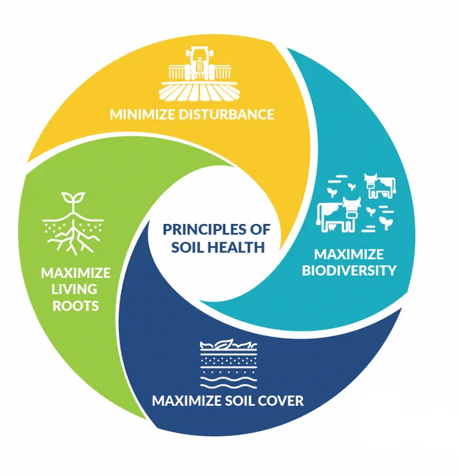 Circular graphic with 4 principles of soil health: Maximize Diversity, Maximize Soil Cover, Maximize Living Roots, Minimize Disturbance.