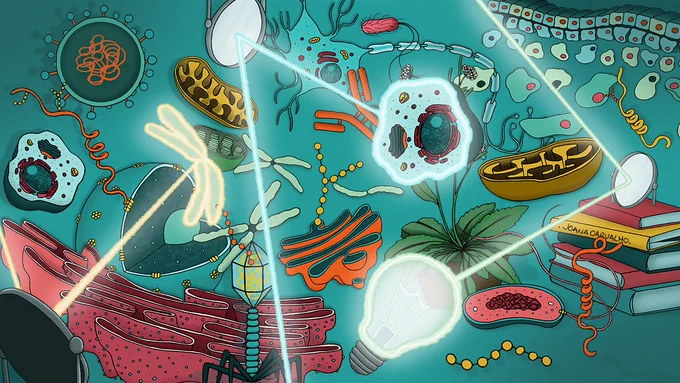 A colourful illustration of a collection of organelles, microbes, and cells, some connected by beams of light