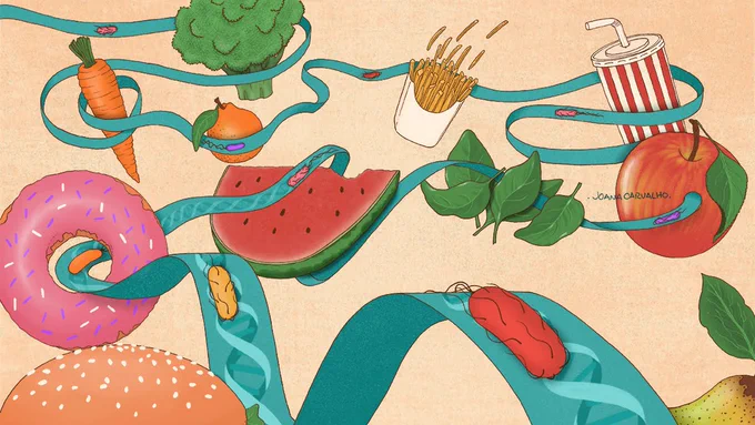 An illustration of various healthy and unhealthy food items connected by a DNA road. Coloured microbes travel down the road. 