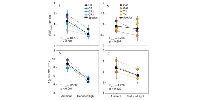 Reaction norms of the means of length-based root-shoot ratio and leaf photosynthesis of individuals of rare Pityopsis ruthii and common P. graminifolia grown in ambient conditions of P. ruthii