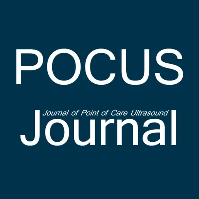 POCUS journal training for physicians in practice