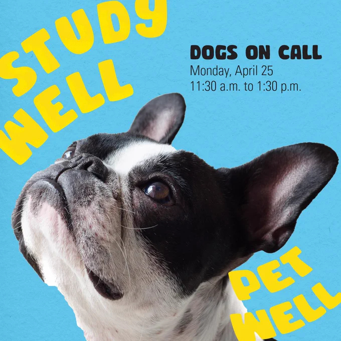 Photo of a dog looking up. Text: Study Well Pet Well, Dogs on Call Monday, April 25 11:30 a.m. to 1:30 p.m. 