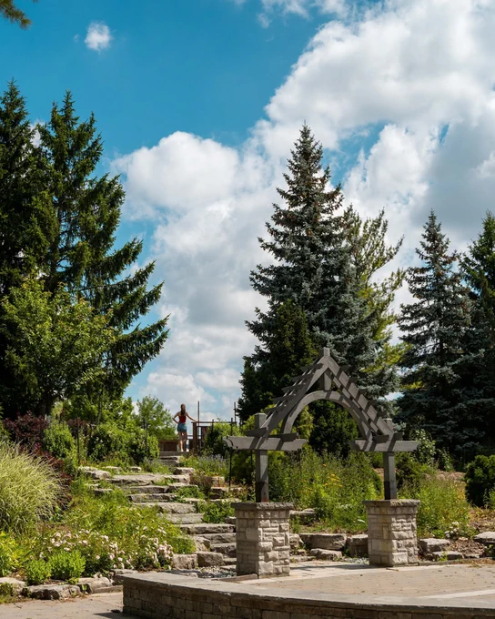 Trees at the Humber Arboretum.