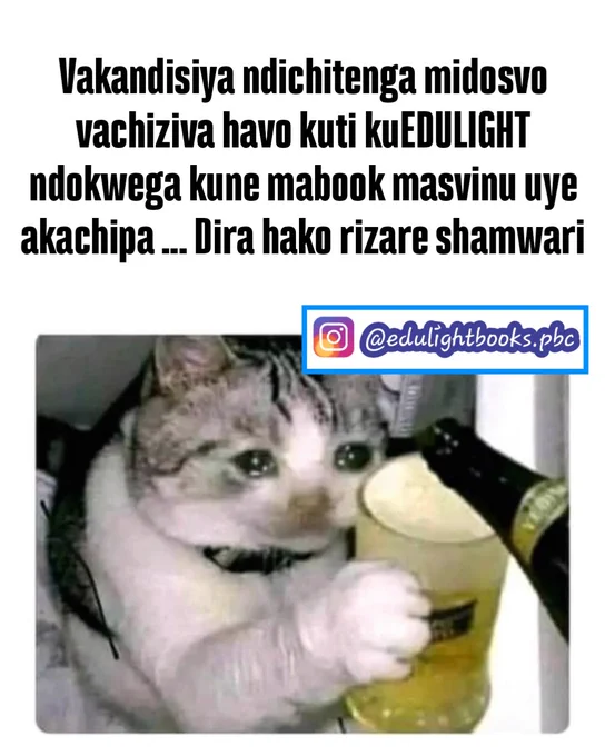 Dira rizare shamwari