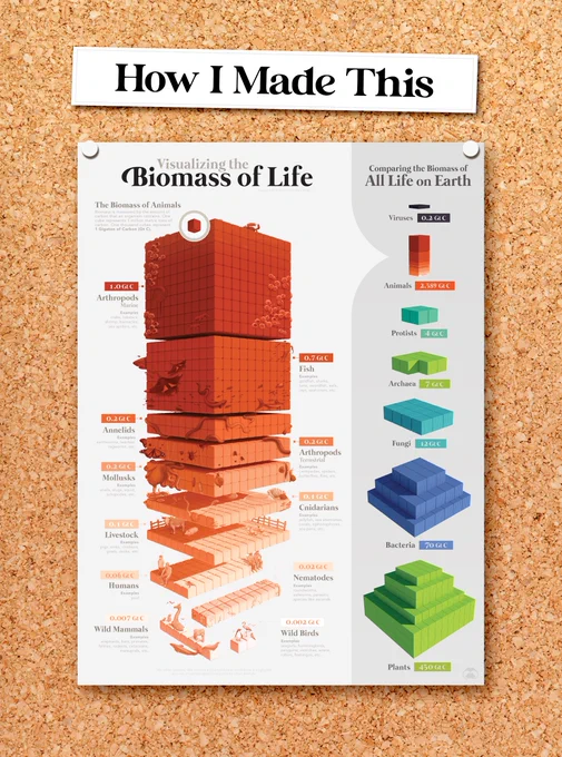 Visualizing the Biomass of Life infographic pinned onto a corkboard with a title reading "HOW I MADE THIS" at the very top. Introductory image to a thread about the working progress for this infographic.