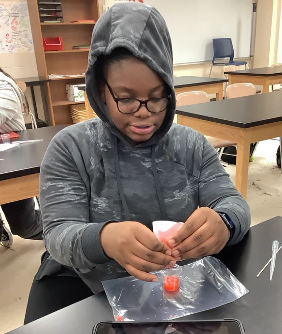 Student squeezes strawberry juices mixed with detergent through a coffee filter to harvest DNA  for a lab activity. 